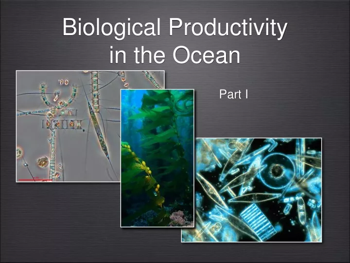 biological productivity in the ocean