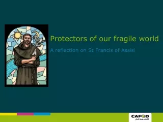 Protectors of our fragile world  A reflection on St Francis of Assisi