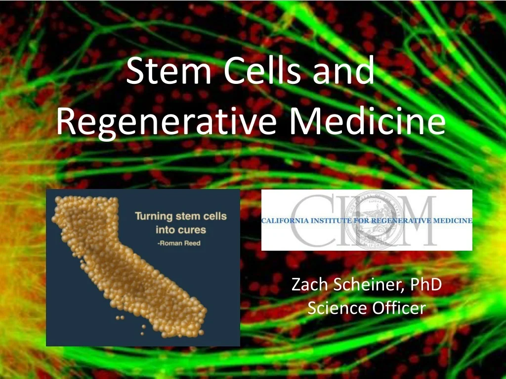 PPT - Unlocking the Potential: Stem Cells and Regenerative Medicine ...