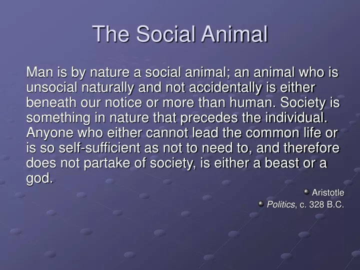 the social animal