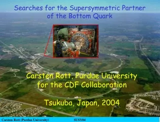 Carsten Rott, Purdue University for the CDF Collaboration Tsukuba, Japan, 2004