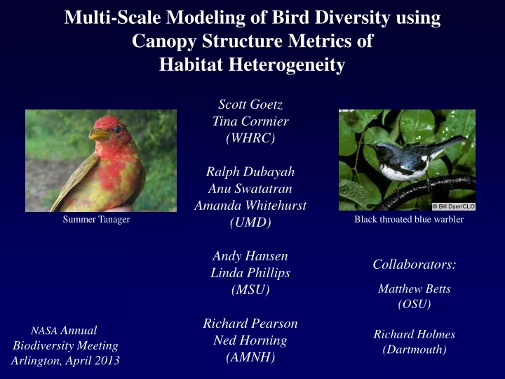 multi scale modeling of bird diversity using canopy structure metrics of habitat heterogeneity