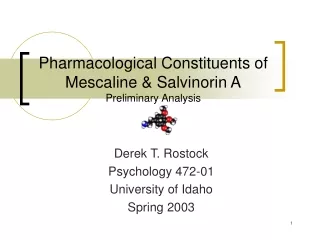 Pharmacological Constituents of Mescaline &amp; Salvinorin A Preliminary Analysis