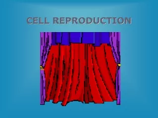 CELL REPRODUCTION