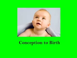 Conception to Birth