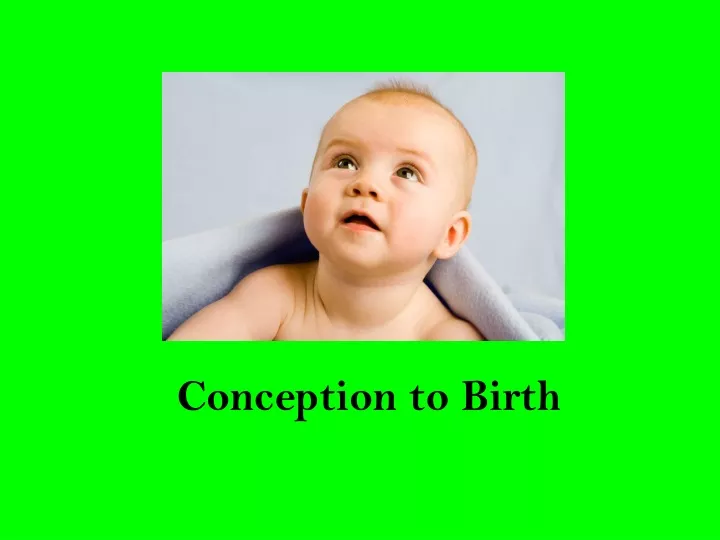 conception to birth