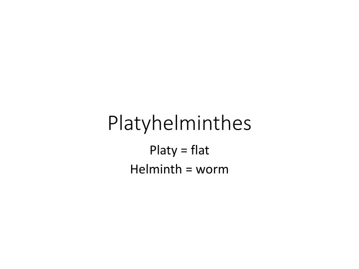 platyhelminthes