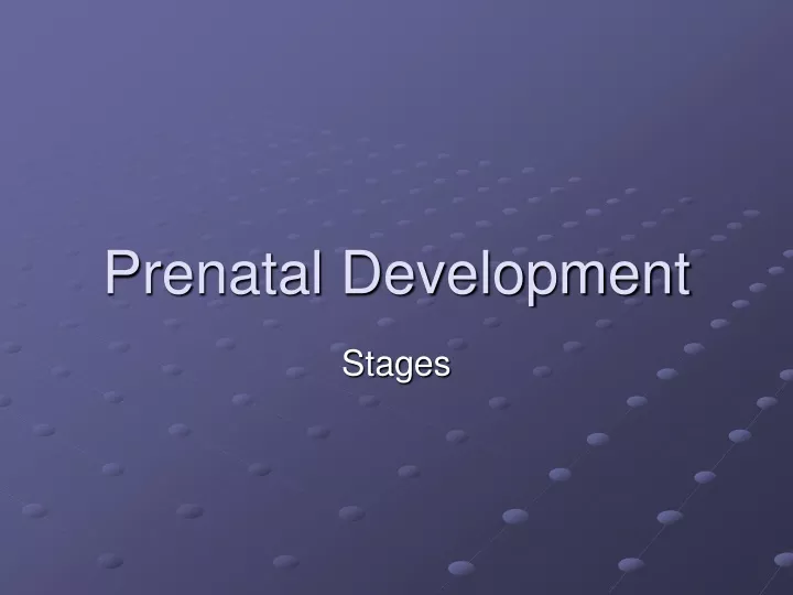 prenatal development
