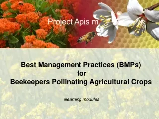 Best Management Practices (BMPs)  for  Beekeepers Pollinating Agricultural Crops