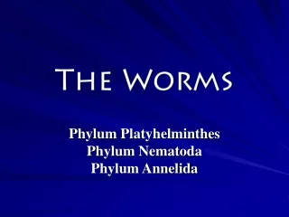 The Worms