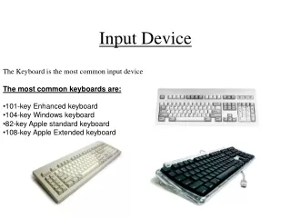 Input Device