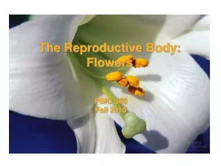 The Reproductive Body: Flowers