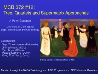 MCB 372 #12:   Tree, Quartets and Supermatrix Approaches
