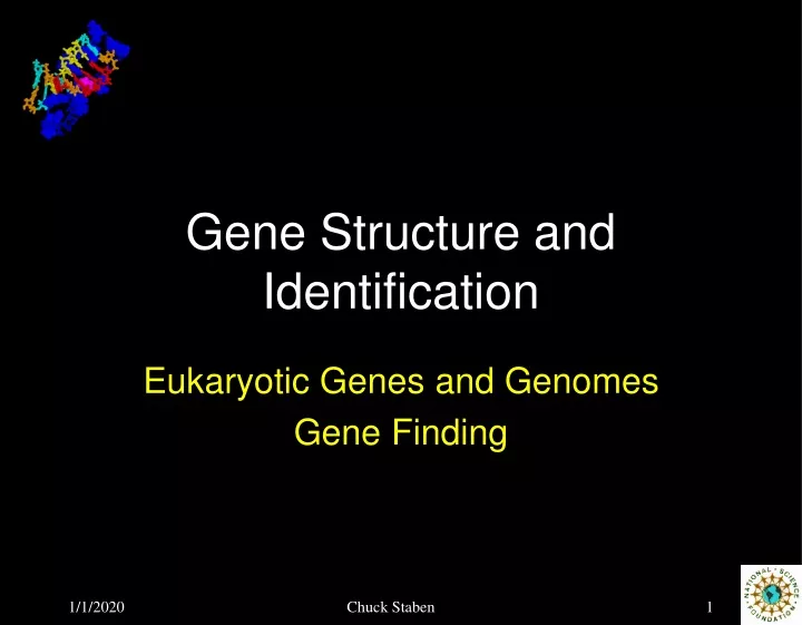 gene structure and identification