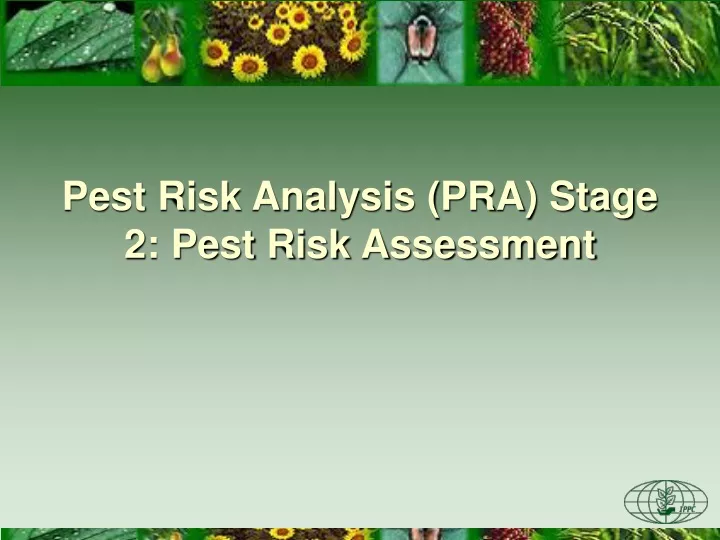 pest risk analysis pra stage 2 pest risk assessment