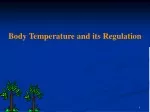 Body Temperature and its Regulation