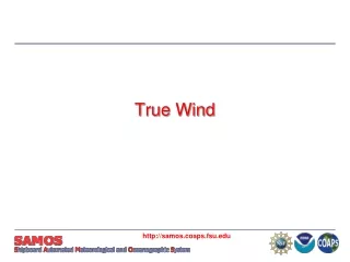 True Wind