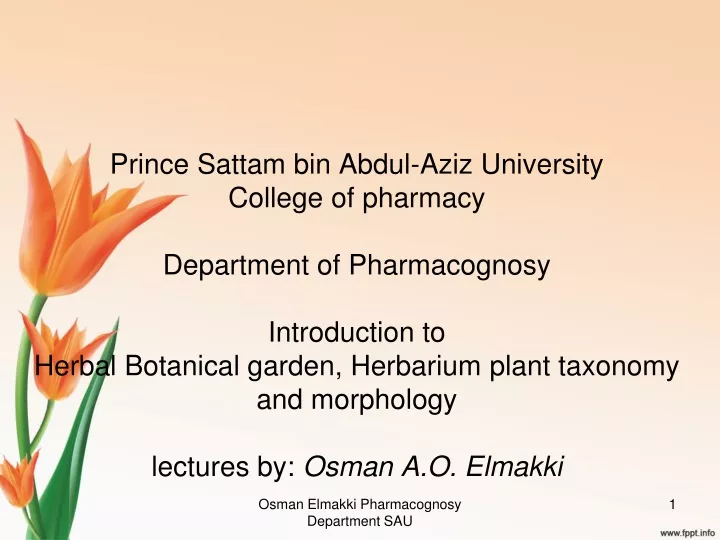 prince sattam bin abdul aziz university college