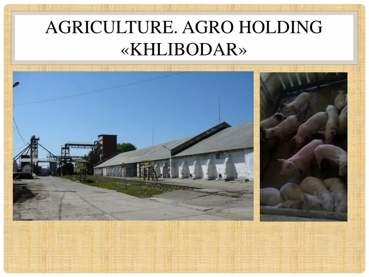 agriculture agro holding khlibodar