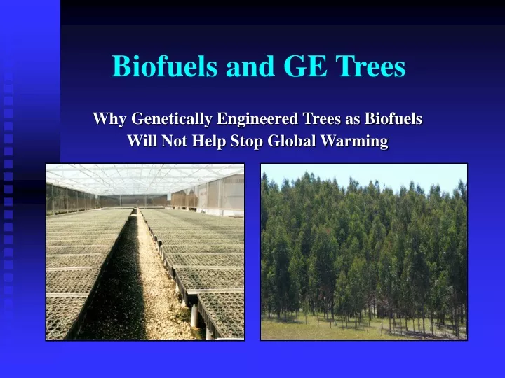 biofuels and ge trees