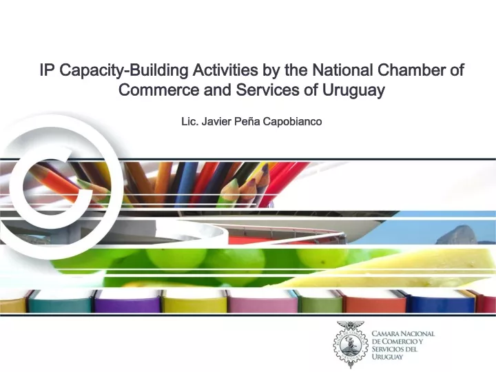 ip capacity building activities by the national
