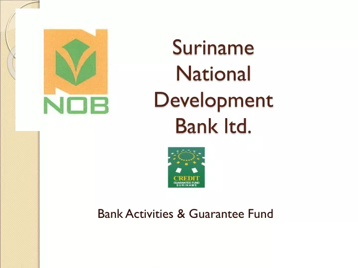suriname national development bank ltd