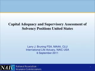 Larry J. Bruning FSA, MAAA, CLU International Life Actuary, NAIC USA 6 September 2011