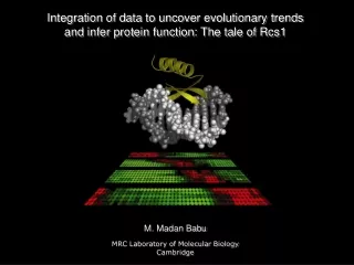 Integration of data to uncover evolutionary trends  and infer protein function: The tale of Rcs1