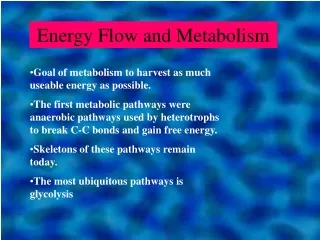 Energy Flow and Metabolism