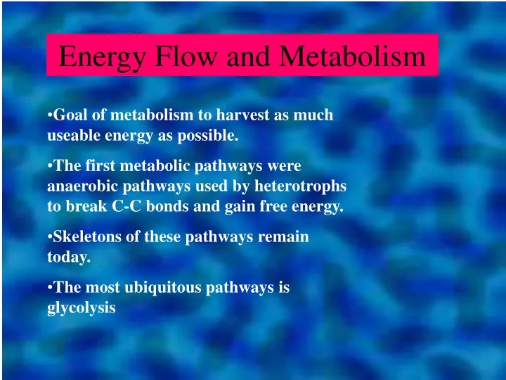 energy flow and metabolism