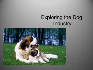 Exploring the Dog  Industry
