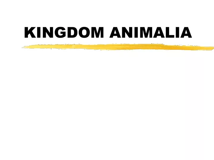 kingdom animalia