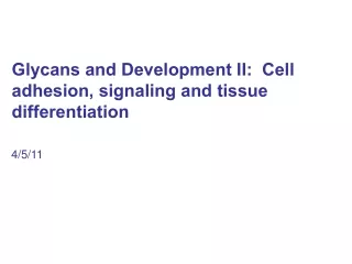 Glycans and Development II:  Cell adhesion, signaling and tissue differentiation