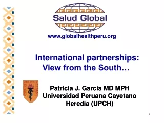 International partnerships:  View from the South…