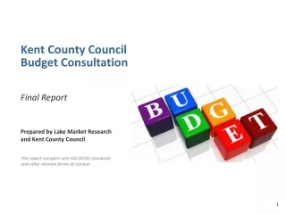 Prepared by Lake Market Research and Kent County Council