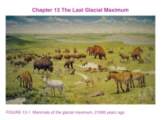 FIGURE 13-1  Mammals of the glacial maximum, 21000 years ago