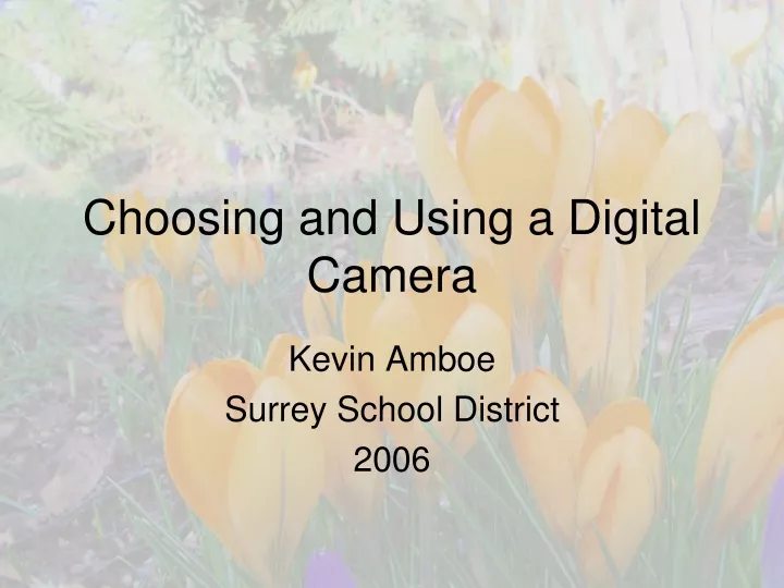 choosing and using a digital camera