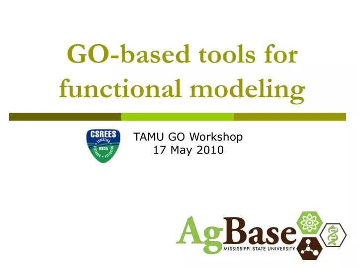 go based tools for functional modeling