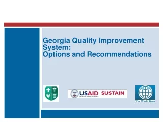 Georgia Quality Improvement System: Options and Recommendations