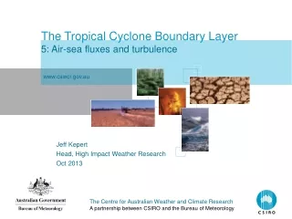 The Tropical Cyclone Boundary Layer 5: Air-sea fluxes and turbulence