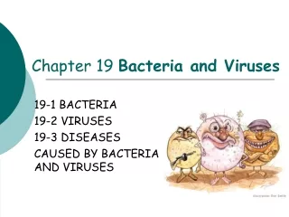 Chapter 19  Bacteria and Viruses