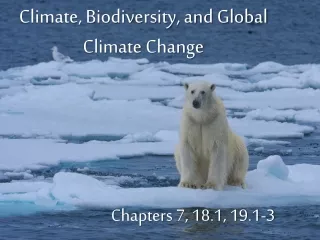 Climate, Biodiversity, and Global Climate Change