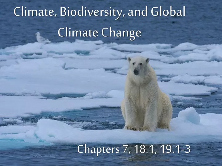 climate biodiversity and global climate change