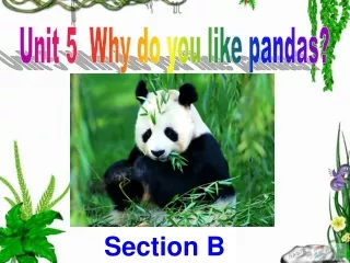 Unit 5  Why do you like pandas?