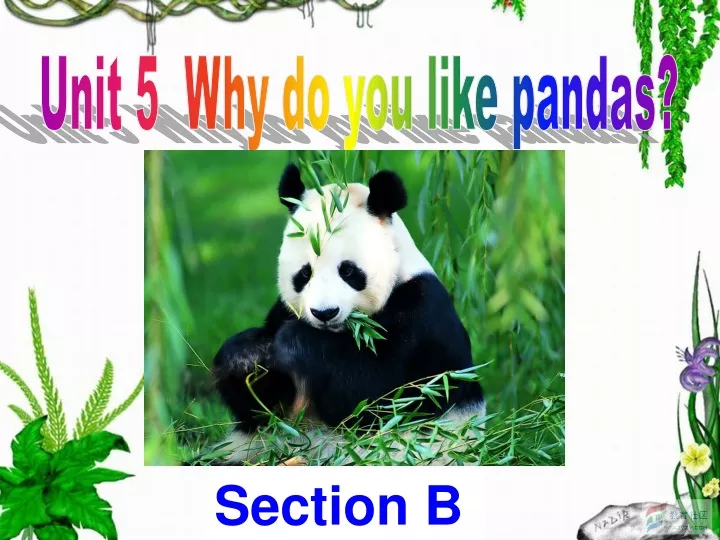 unit 5 why do you like pandas