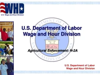 U.S. Department of Labor Wage and Hour Division