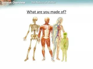 What are you made of?