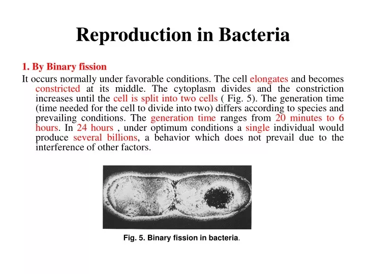 reproduction in bacteria