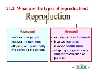 21.2	 What are the types of reproduction?