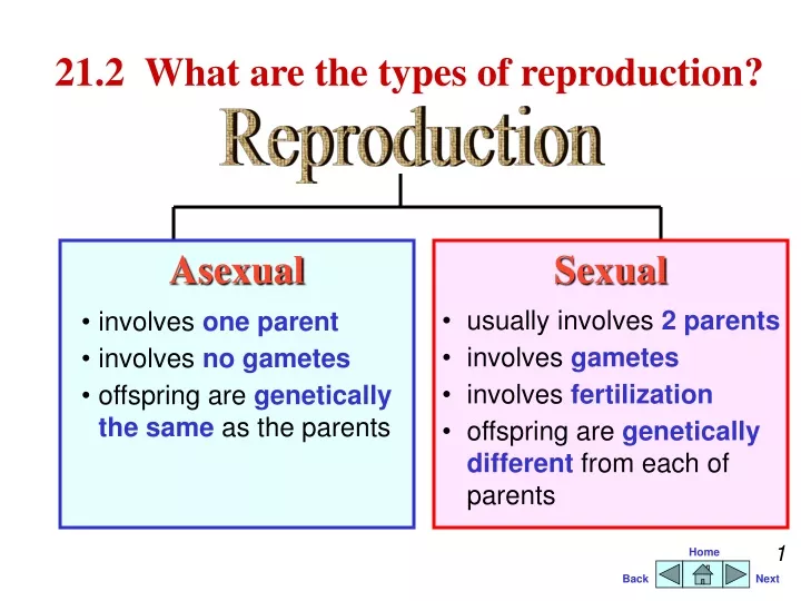 21 2 what are the types of reproduction